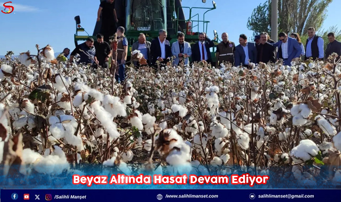 Beyaz Altında Hasat Devam Ediyor