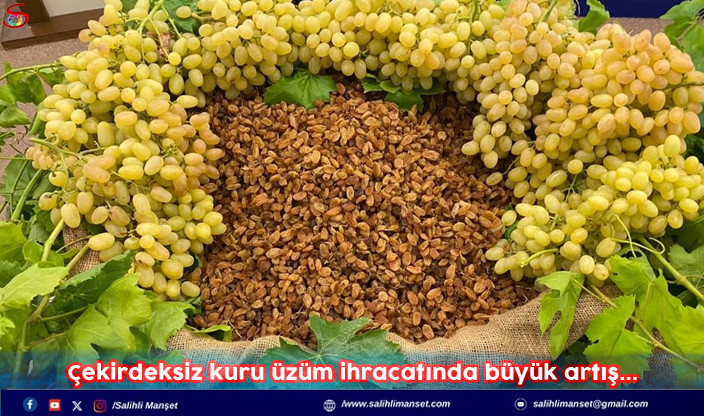 Çekirdeksiz kuru üzüm ihracatında büyük artış...