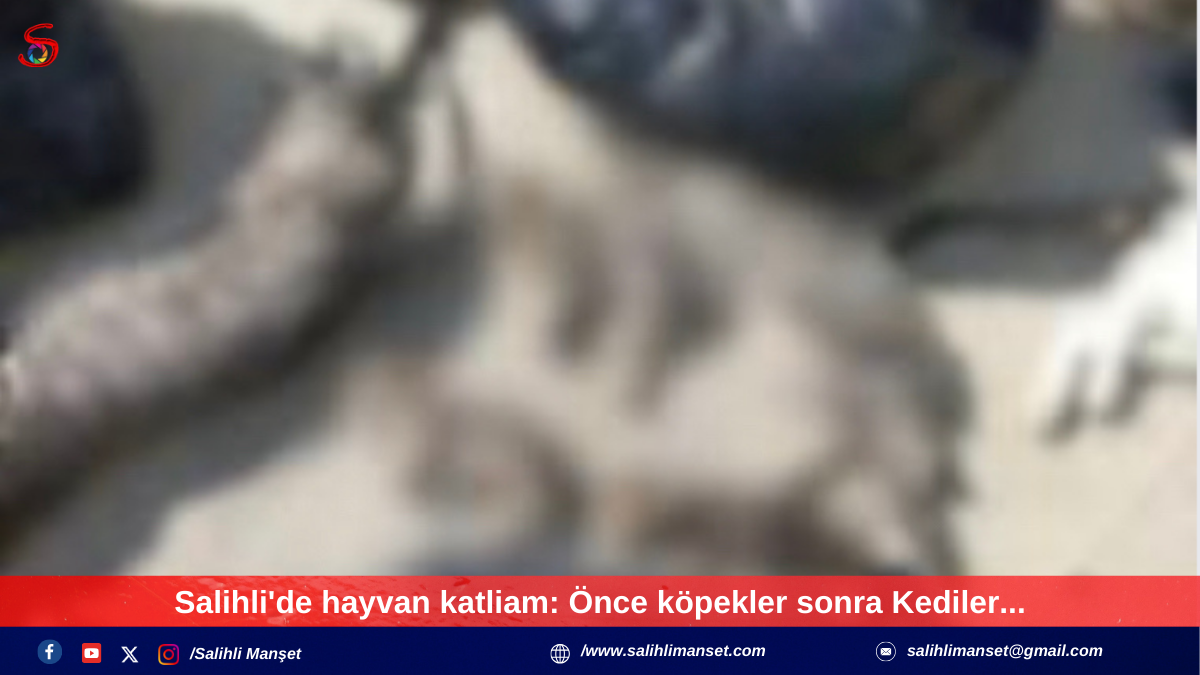 Salihli'de hayvan katliam: Önce köpekler sonra Kediler...