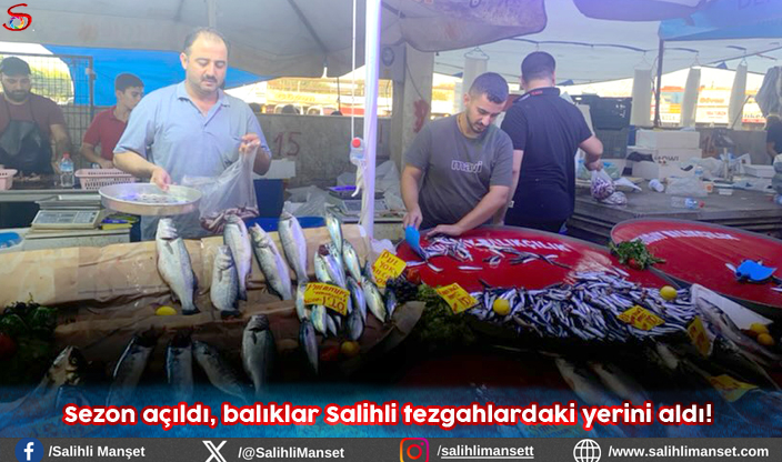 Sezon açıldı, balıklar Salihli tezgahlardaki yerini aldı! 